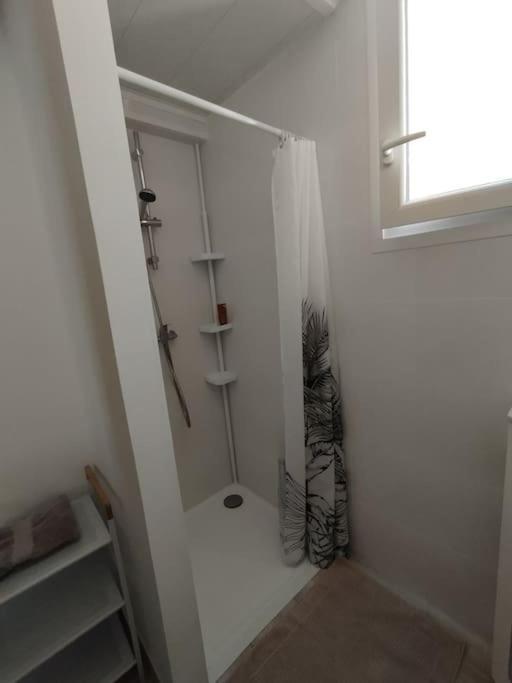 Studio En Petite Camargue Le Cailar ภายนอก รูปภาพ